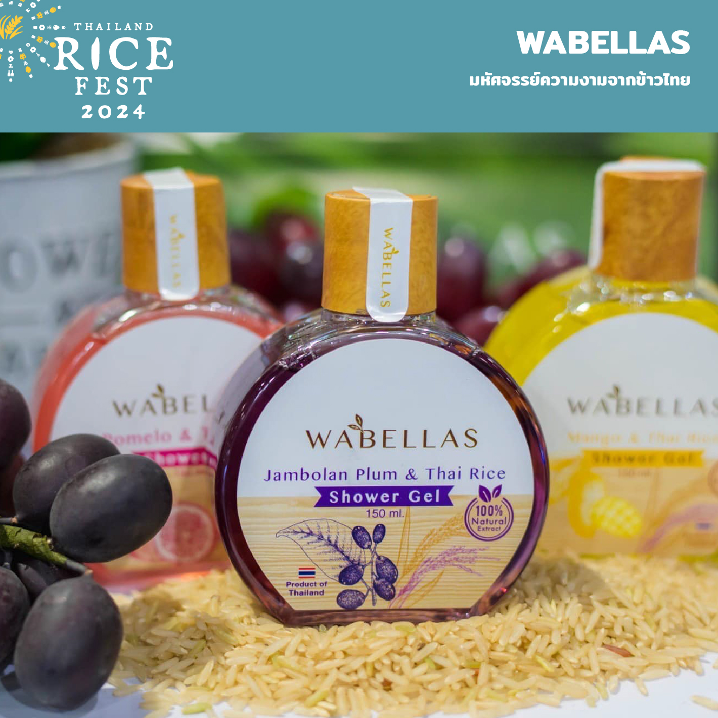 Thailand Rice Fest 2024 6.jpg